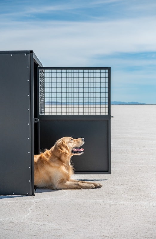 Elite Kennels Inc | Designed and Developed for Trainers, By Trainers