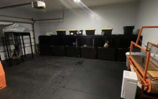 Elite Kennels Inc | Custom, Professional Dog Kennels for Dog Trainers and Dog Boarding Facilities
