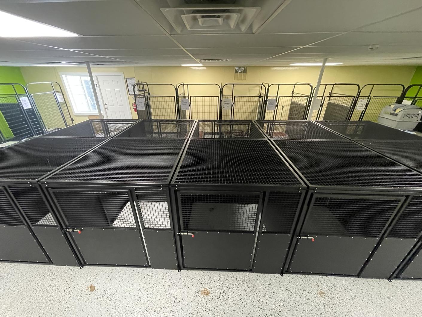 Elite Kennels Inc | Custom, Professional Dog Kennels for Dog Trainers and Dog Boarding Facilities