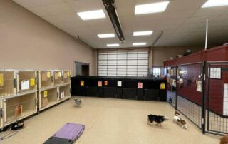 Elite Kennels Inc | Custom, Professional Dog Kennels for Dog Trainers and Dog Boarding Facilities
